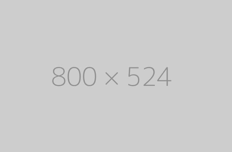 hongo 800x524-ph