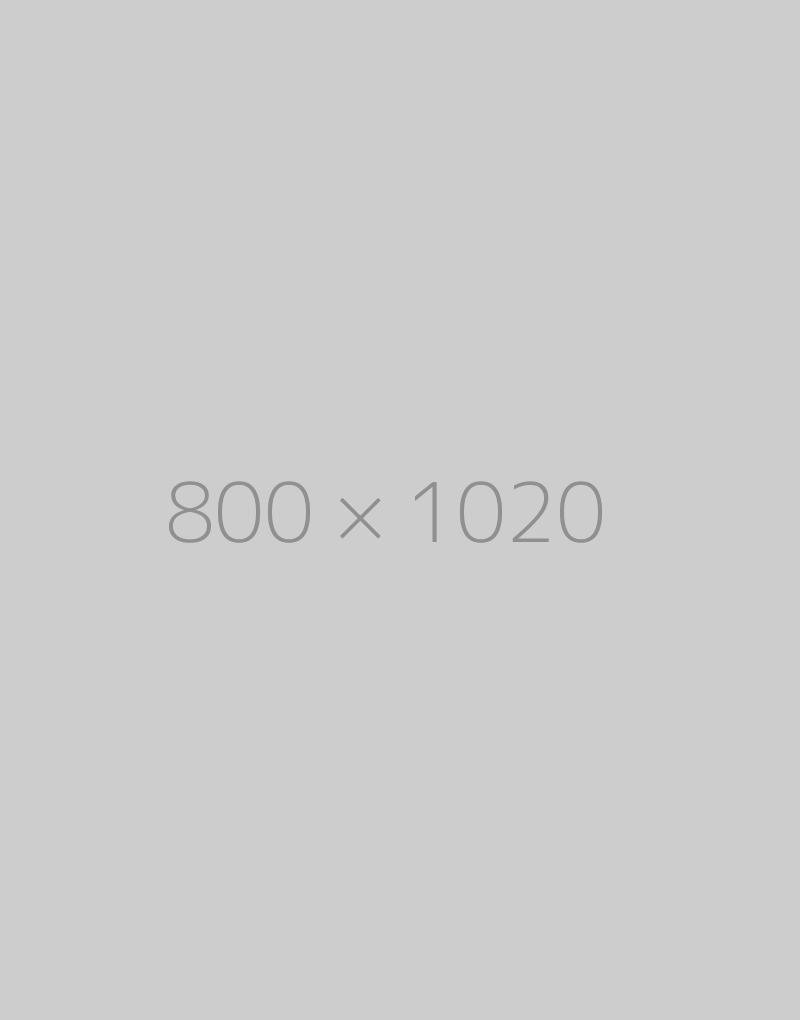 hongo 800x1020-ph